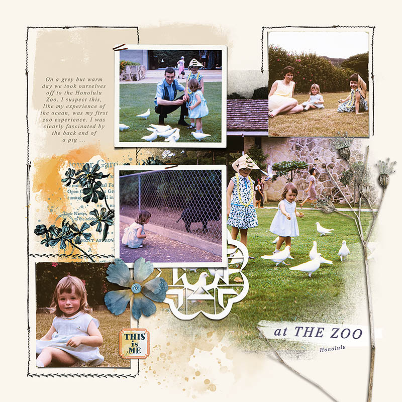Darcy Templates - Image 2