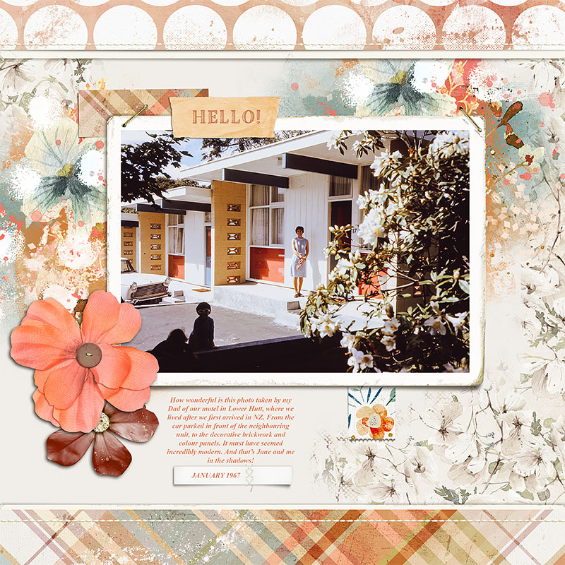 Bring Me Comfort Elements - Image 4