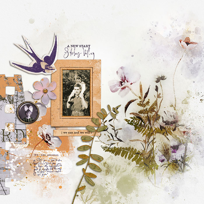 Take Flight Digital Scrapbooking Paper Pack - Image 4