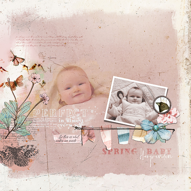 Close to Perfect Digital Scrapbooking Kit by Lynn Grieveson - Image 4