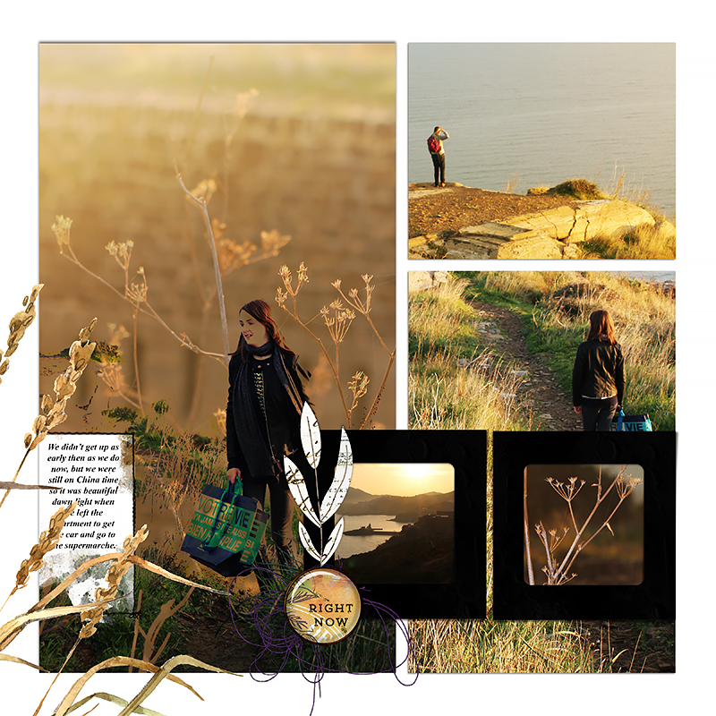 See This No4 digital scrapbooking template album - Image 3