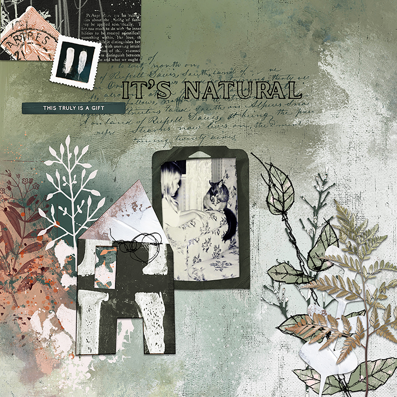 Natura Digital Scrapbooking Kit by Lynn Grieveson - Image 5