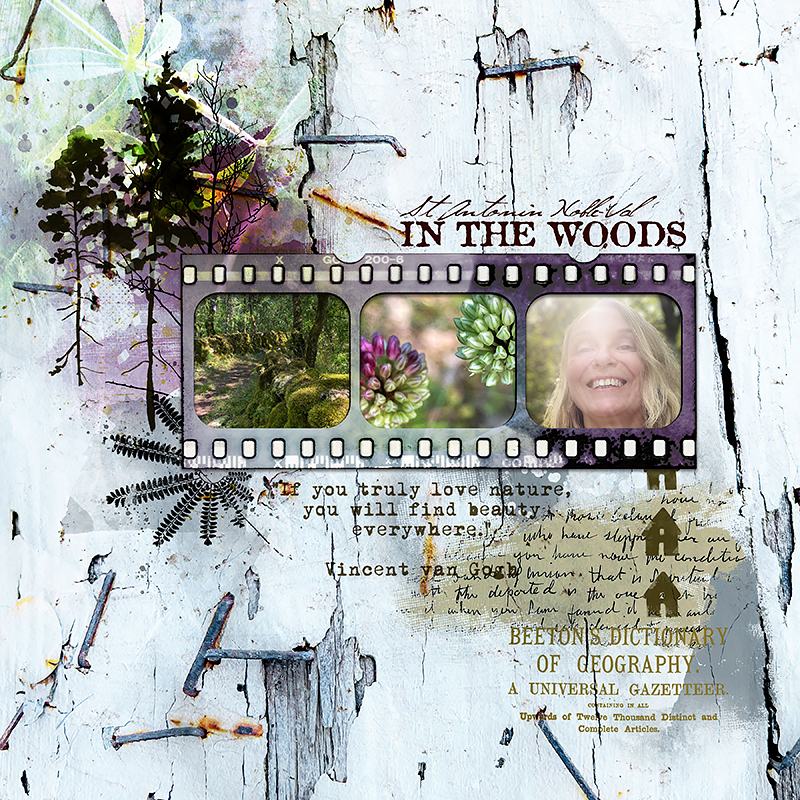 Cabin in the Woods Mixed Media by Lynn Grieveson - Image 2