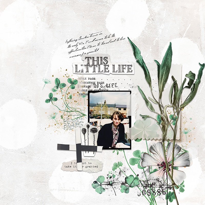 This Little Life Mixed Media by Lynn Grieveson - Image 4