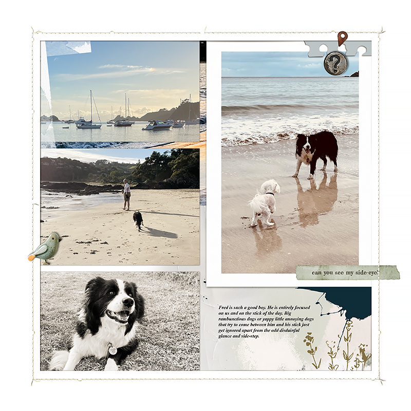 Bordered Pockets No3 Photobook album templates by Lynn Grieveson - Image 3
