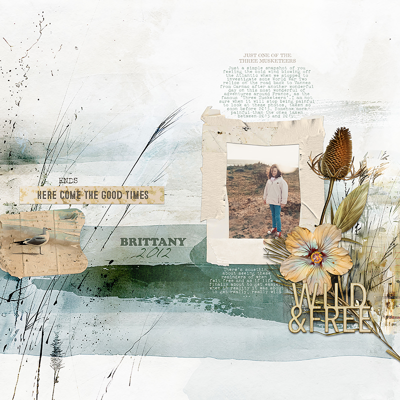 Summer Freedom Digital Scrapbooking Pocket Cards - Image 2