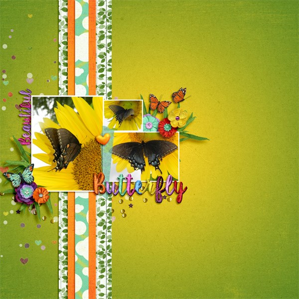 Metamorphosis - Image 7