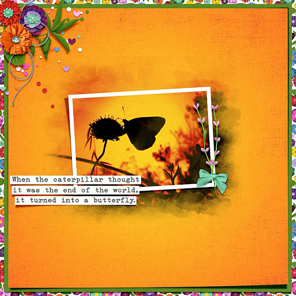 Metamorphosis - Image 9