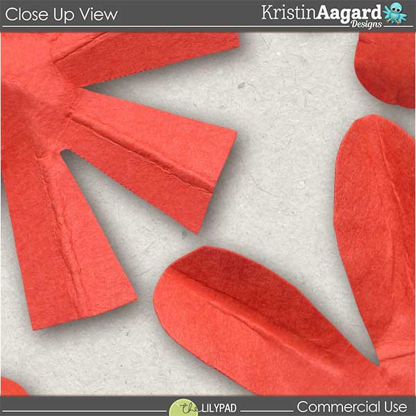 CU Hand Cut Paper Flowers 6 - Image 4