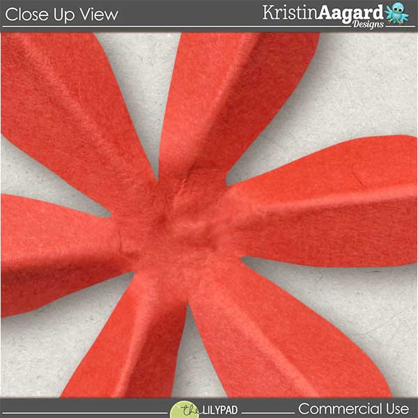 CU Hand Cut Paper Flowers 7 - Image 4
