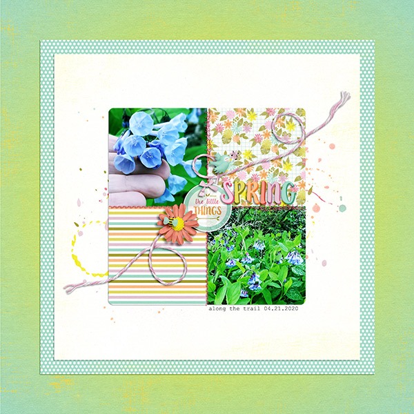Springy - Image 6