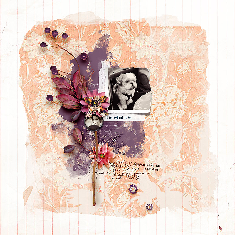 The Best Memories Digital Scrapbooking Collection by Lynn Grieveson - Image 5