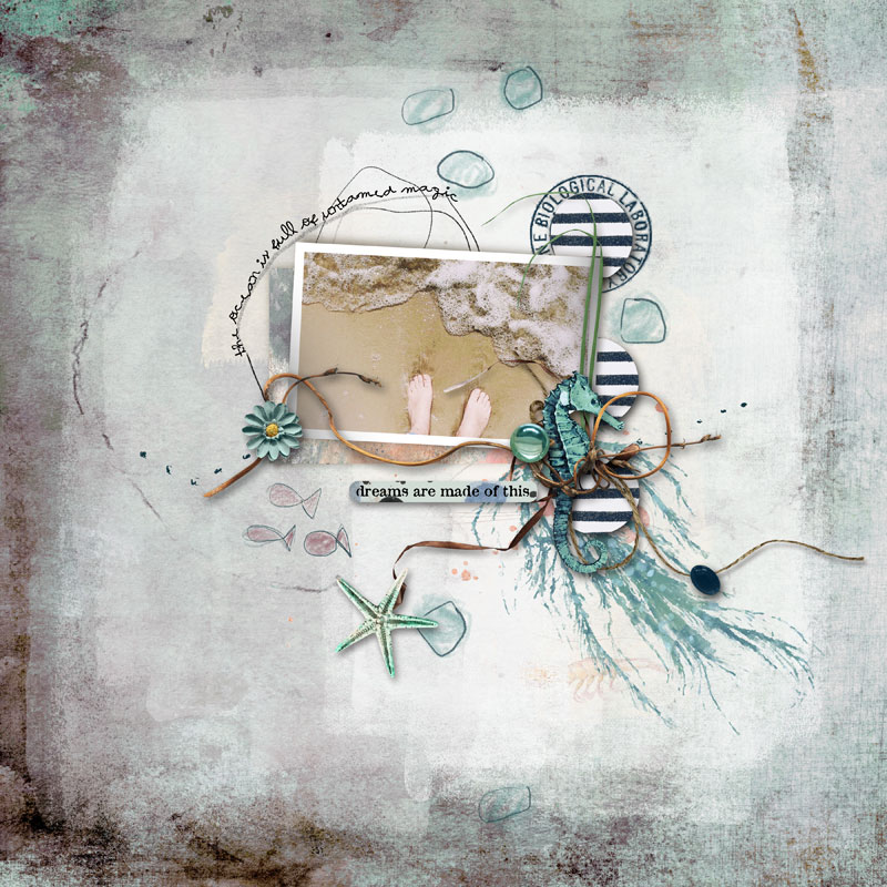Syngnathidae | The Complete Mixed Media Collection - Image 5