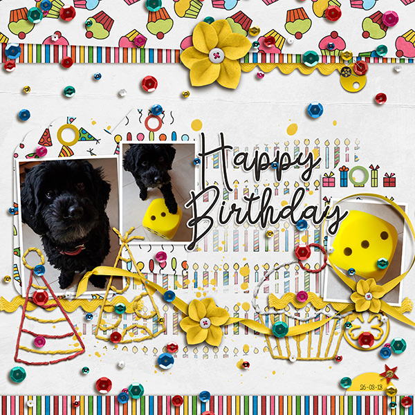 Stringbats 8 – Birthday - Image 12