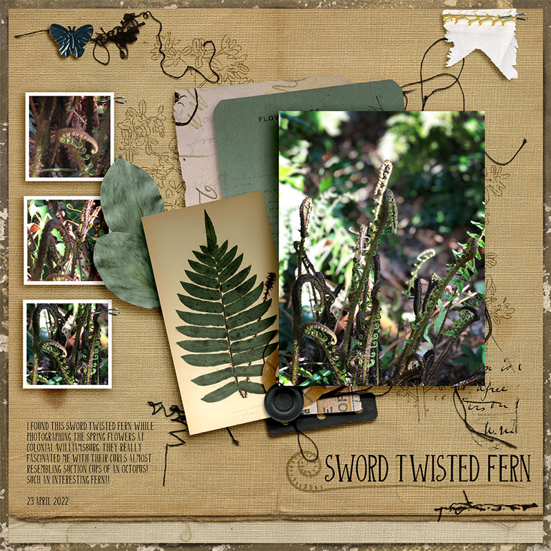 The Assembles Collection: Fiord | The Kit - Image 8