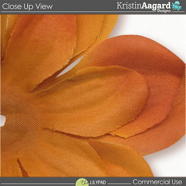 CU Flower Assortment 4 - Image 2