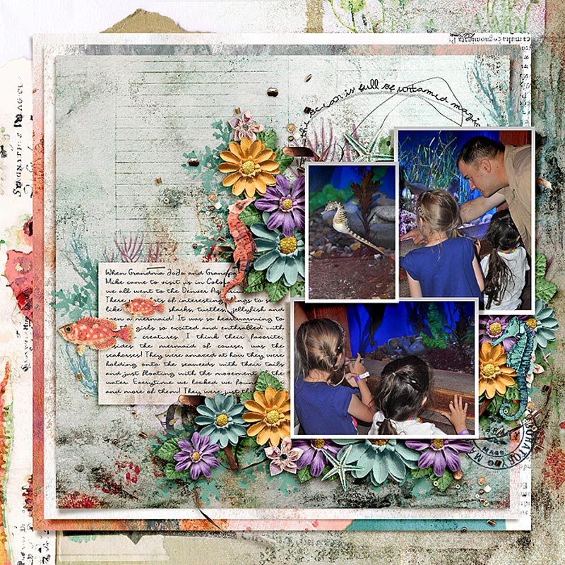 Syngnathidae | The Complete Mixed Media Collection - Image 7