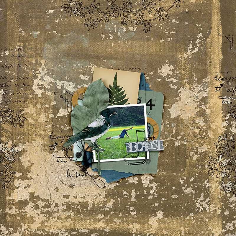 The Assembles Collection: Fiord | The Kit - Image 7