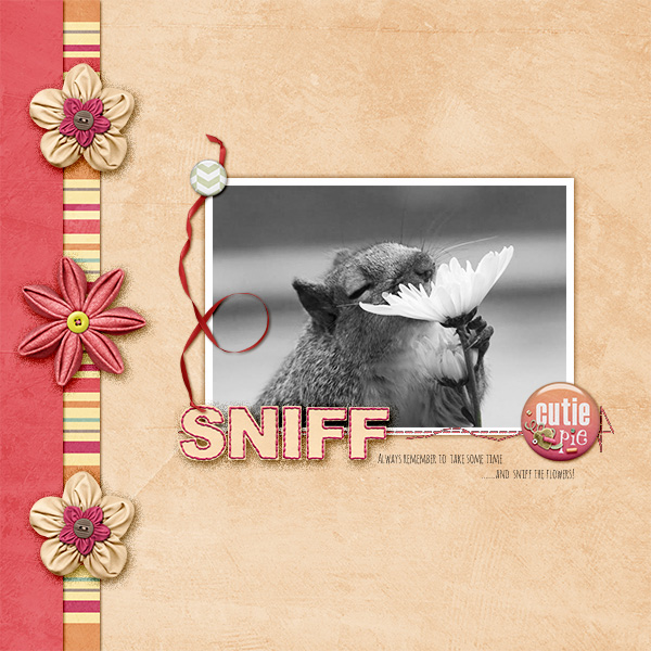 Sweet Talk Papers - Image 5