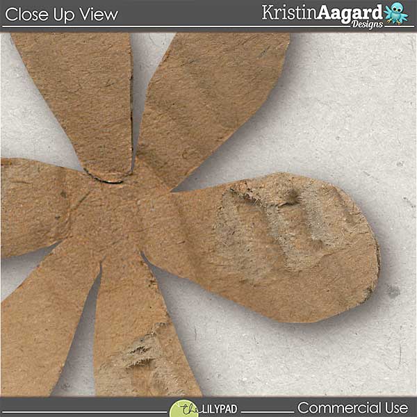 CU Cardboard Flowers - Image 2