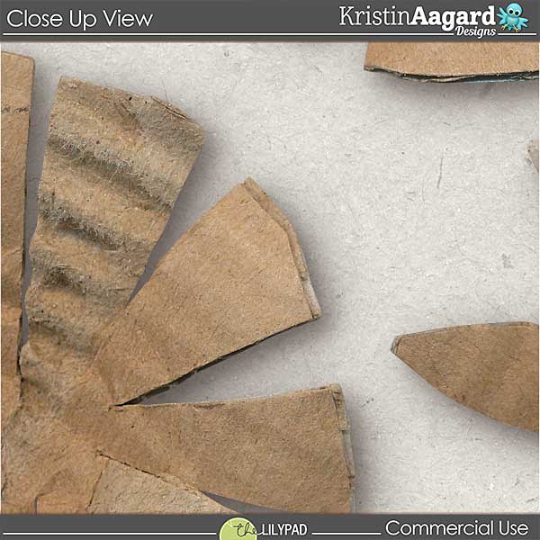 CU Cardboard Flowers - Image 3