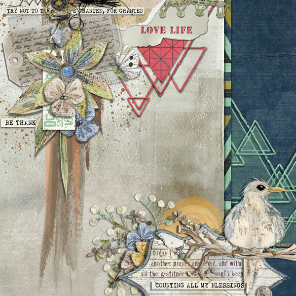 Triangulation - Image 5