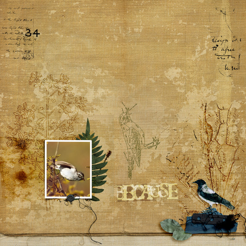 The Assembles Collection: Fiord | The Kit - Image 9