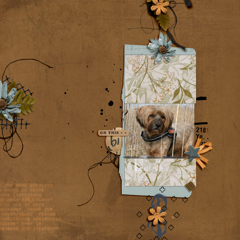 The Assembles Collection: Olive and Saffron | The Complete Mixed Media Collection - Image 7
