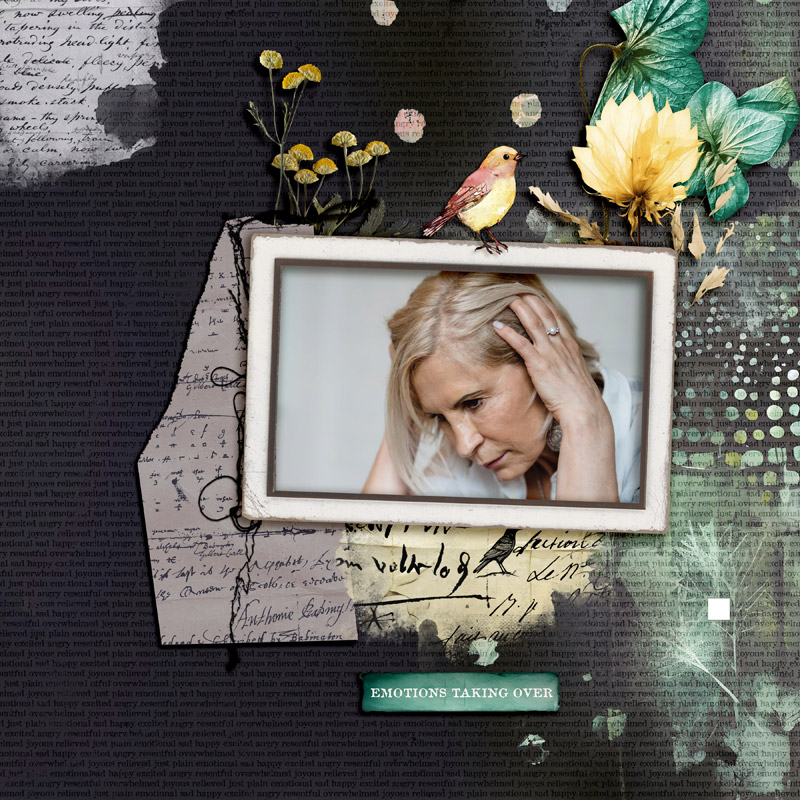 Emotions Kit by Lynn Grieveson - Image 9