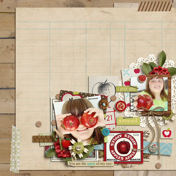apple orchard - Image 4