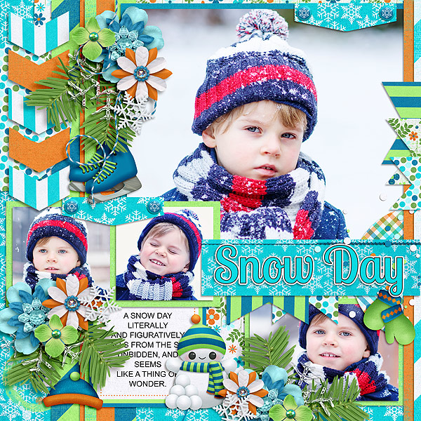 Snow Much Fun {In Blue} - Image 5