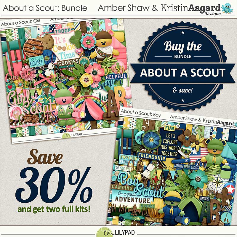 About a Scout: Bundle
