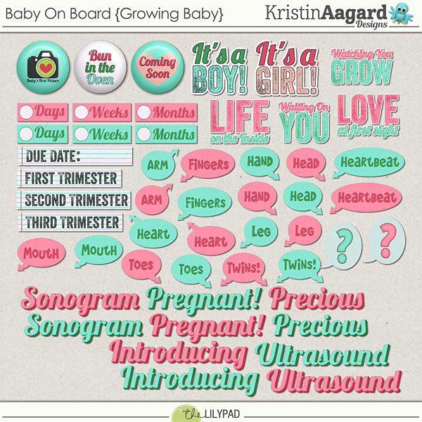 Baby On Board {Growing Baby}