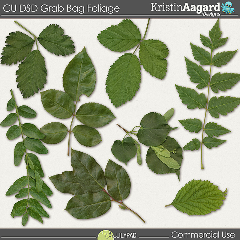 CU DSD 2017 Grab Bag Foliage