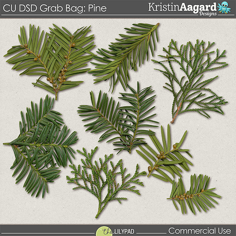 CU DSD 2017 Grab Bag Pine