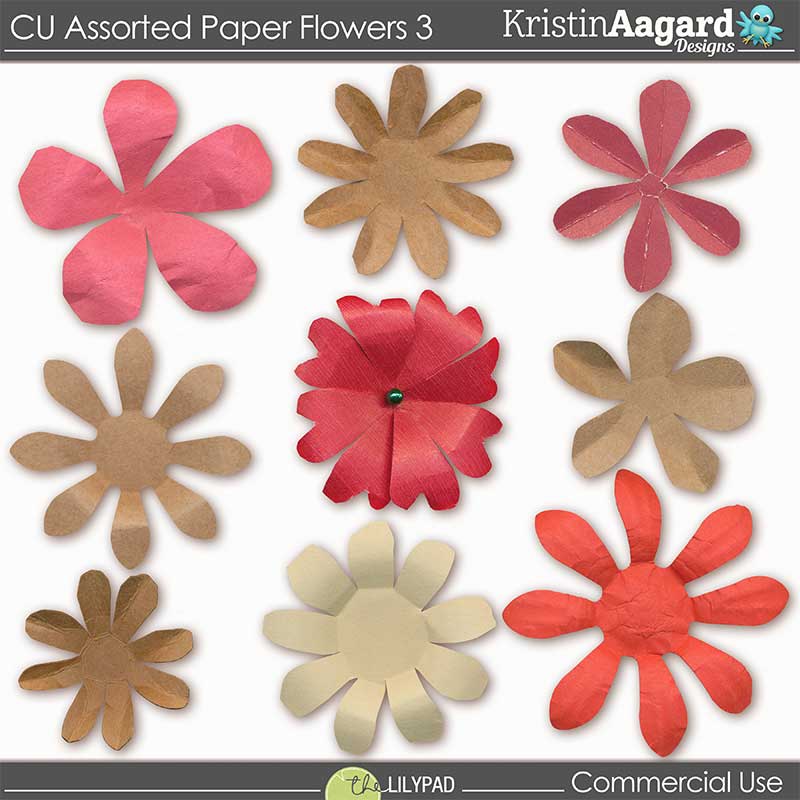 CU Assorted Paper Flowers 3