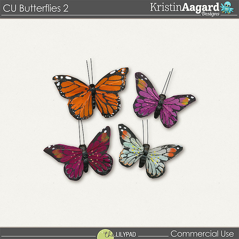 CU Butterflies 2 - Image 6
