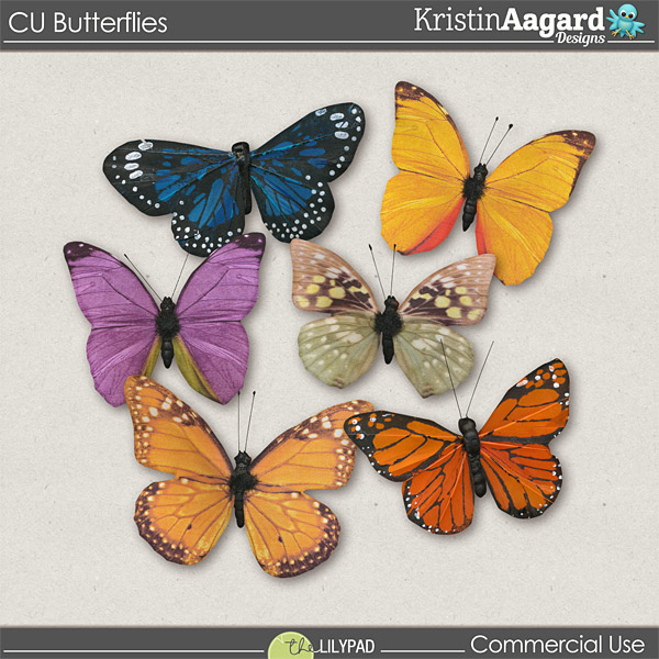 CU Butterflies