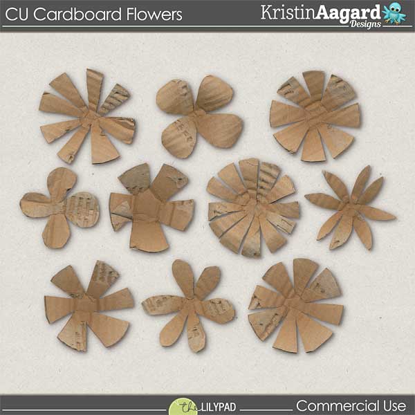 CU Cardboard Flowers