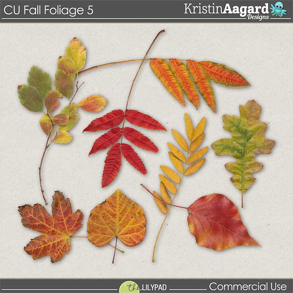 CU Fall Foliage 5
