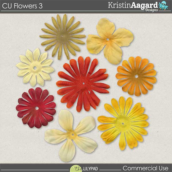 CU Flowers 3
