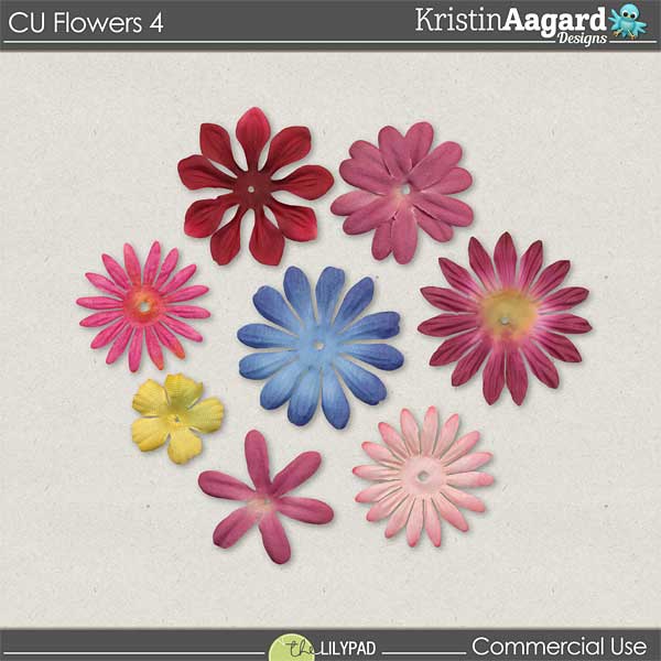CU Flowers 4