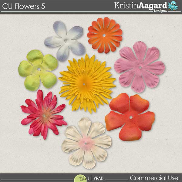 CU Flowers 5