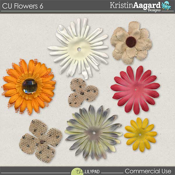 CU Flowers 6