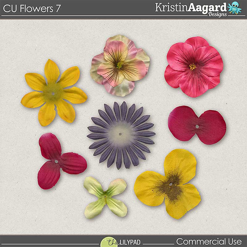 CU Flowers 7