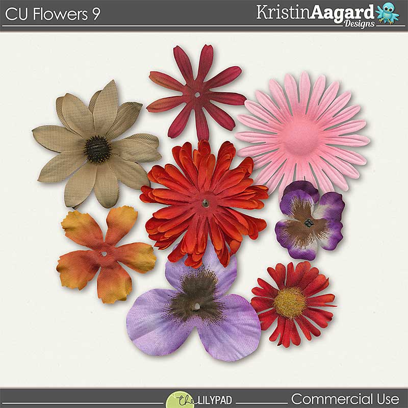 CU Flowers 9