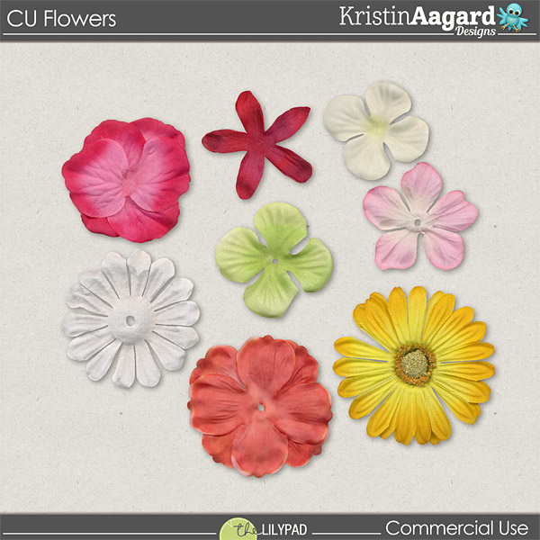 CU Flowers 1