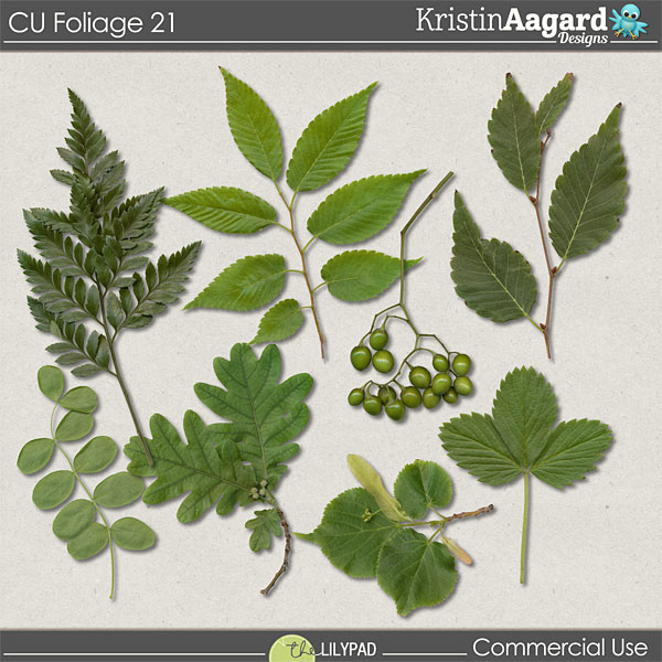 CU Foliage 21