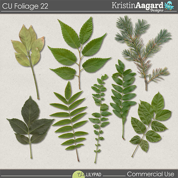 CU Foliage 22