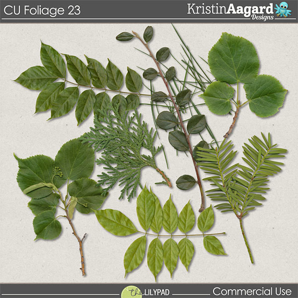 CU Foliage 23